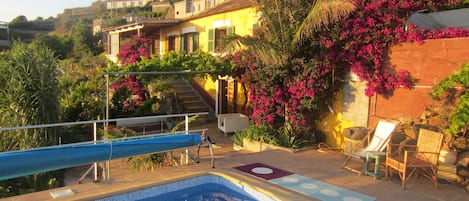 Pool and house surrounded by bougainvillae flowering all year round