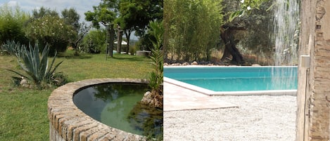 la piscina e la fontana dei pesci rossi