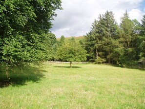 The meadow in front of the cottage