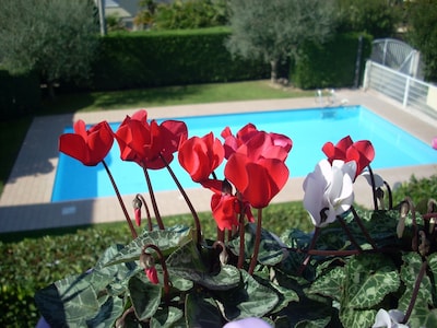 Charming apartment with swimming pool in Lazise by Garda Lake  for  holidays in relax.......             