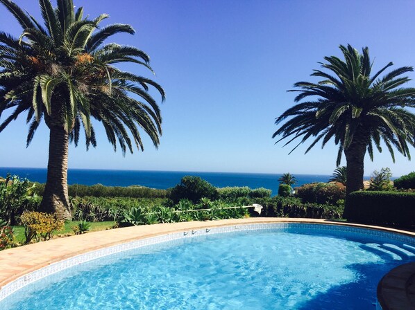 Pool Sunbed View