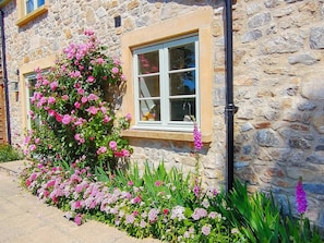 Cottage in June