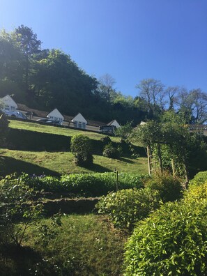 View from the bottom of communal gardens - looking up to cottages