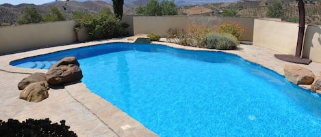 The Pool is 11m x 7m freeform with roman steps