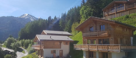 Chalet Petit Sapin - 1