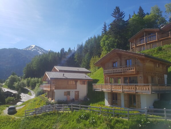 Chalet Petit Sapin - 1