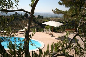 Landscape from the Pool on the Hill