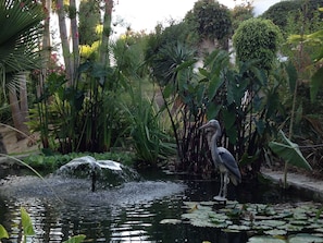 Oasis de Capistrano Gardens