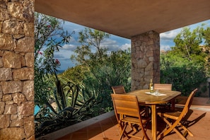 Balcony / Terrace / Patio