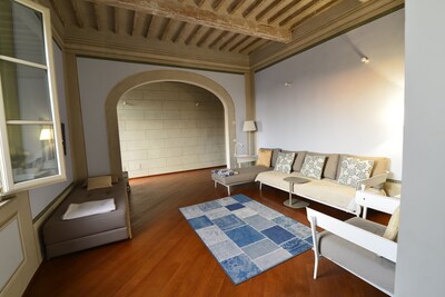APARTMENT IN OLD TOWN IN PISA bright with views of rooftops and MONUMENTS.