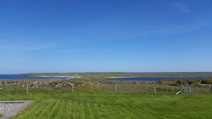 Our extensive croft to roam in summer