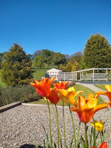 Luxury barn in Peak District National Park - peaceful with great views