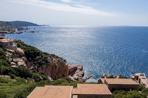 Scenic View