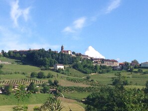 View to village taken from front of Ca' Giona