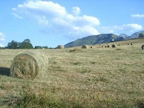 Vista montanha