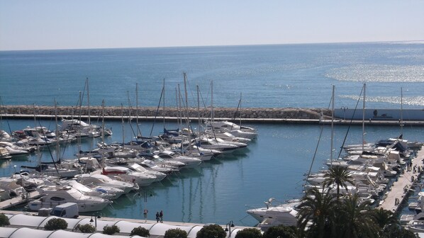 View from terrace