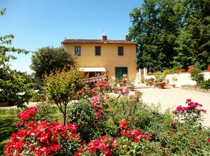colourful garden in all seasons.