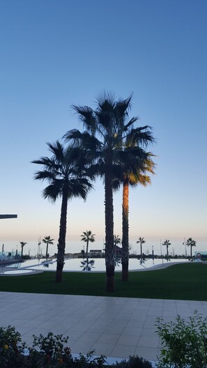 Palm tree paradise