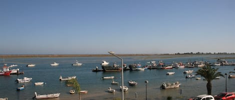 View from Bedroom and Kitchen terrace