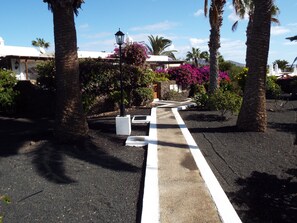 Path leading to bungalow