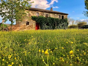 Springtime at Casa Carlotta 