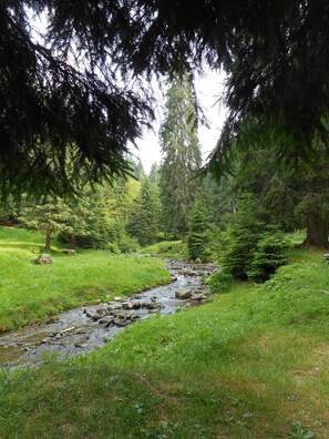 Boendeområde
