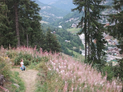 Apartment in Brides les Bain, The Three Valleys