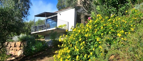 Maison de Charme vue mer avec piscine