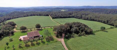 Property building,Patio,Garden,Garden view