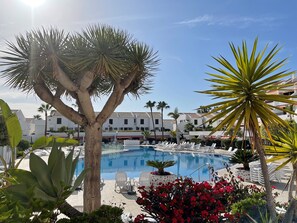 Palm trees and exotic plants are dotted around the complex.