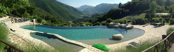 The swimming pool panoramic view