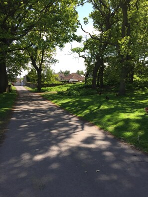 Country lane approaching cottage.