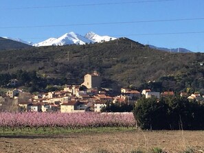 Bouleternère with snow capped Canigou in background and beautiful peach orchards