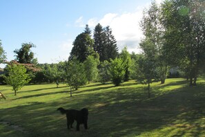 Terrain de l’hébergement 