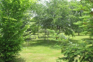 The adult swing in the shade of the trees