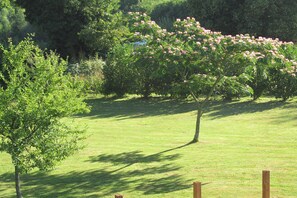 Terrain de l’hébergement 