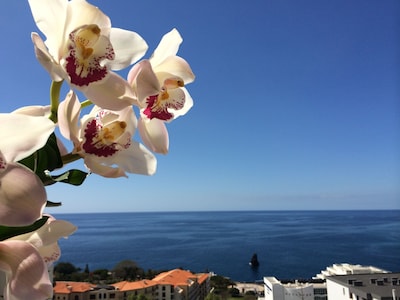 Large penthouse 160m2, quiet with sea view, in the tourist area Funchal