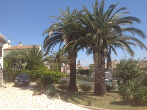 View through the palm trees towards Marseillan Church