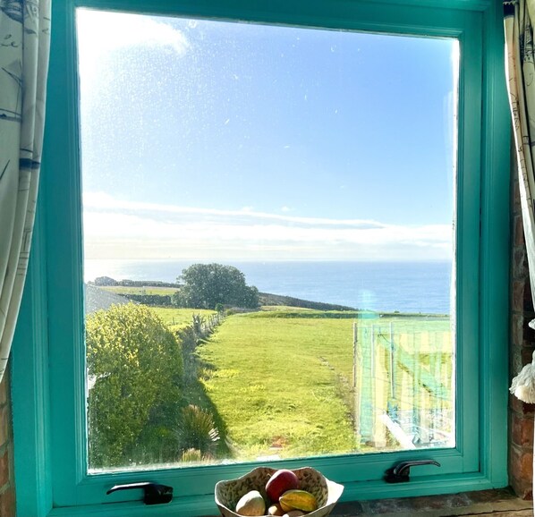 Picture window in Living Area