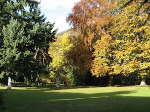 Boendeområde