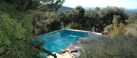 LA PISCINE, AU PETIT MATIN...