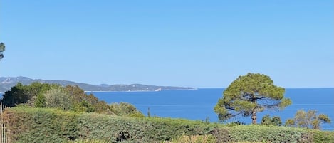 Vue de la terrasse 