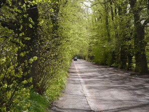 Road leading to Yester House Gates