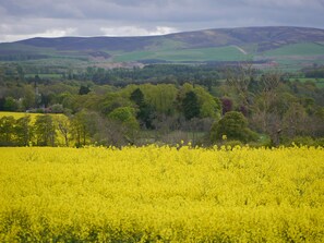 Lammermuir Hills and surrounding farmland