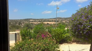 View out of kitchen window