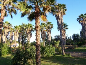 Boendeområde