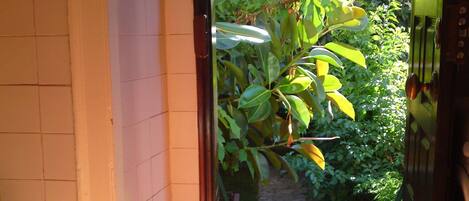 Kitchen with door to the garden