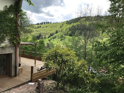 Casa en el corazón del bosque