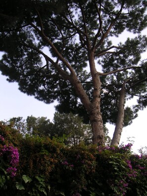 Boendeområde