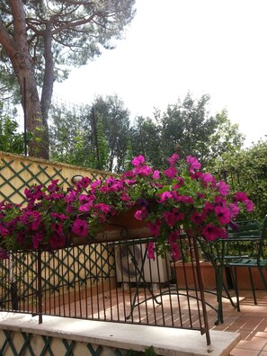 Terrass/Patio